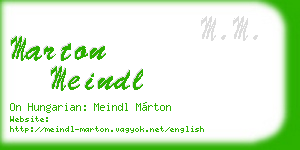 marton meindl business card